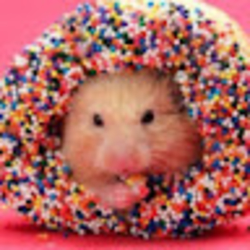 Meet your Posher, Cynthia